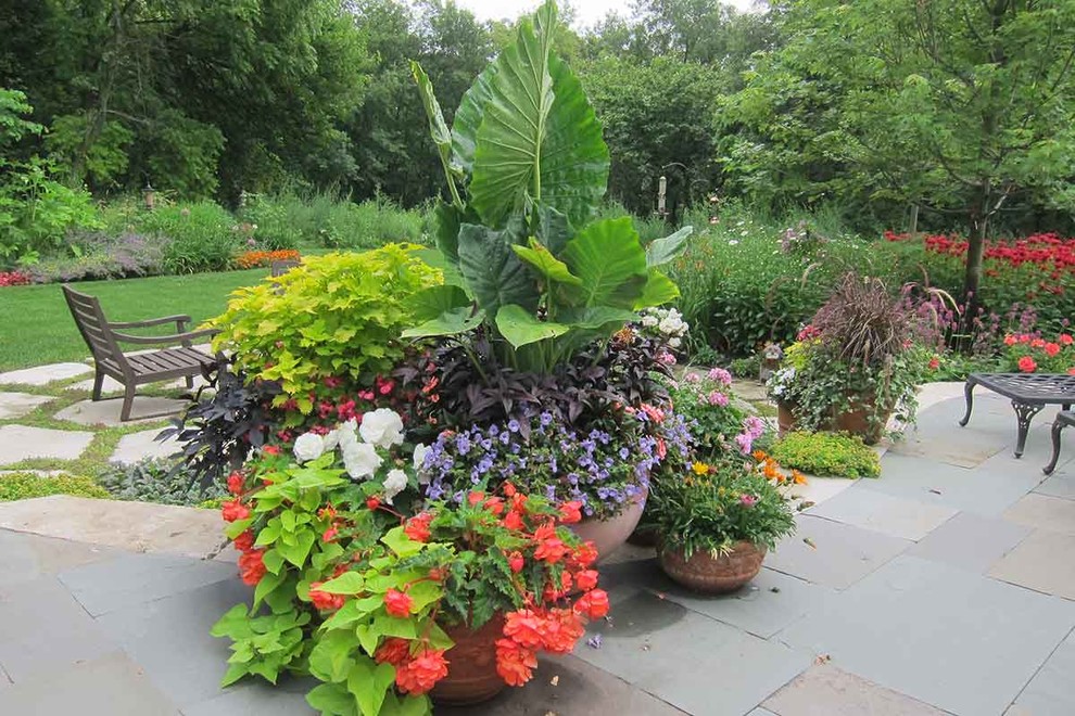 Источник вдохновения для домашнего уюта: большой солнечный, летний засухоустойчивый сад на заднем дворе в классическом стиле с растениями в контейнерах, хорошей освещенностью и покрытием из каменной брусчатки