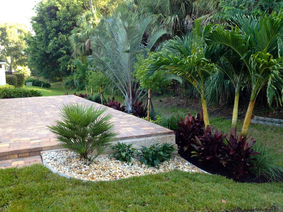 Inspiration för en tropisk trädgård, med en trädgårdsgång