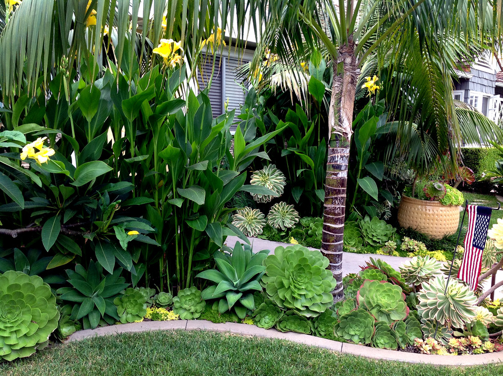 Inspiration for a tropical landscaping in Orange County.