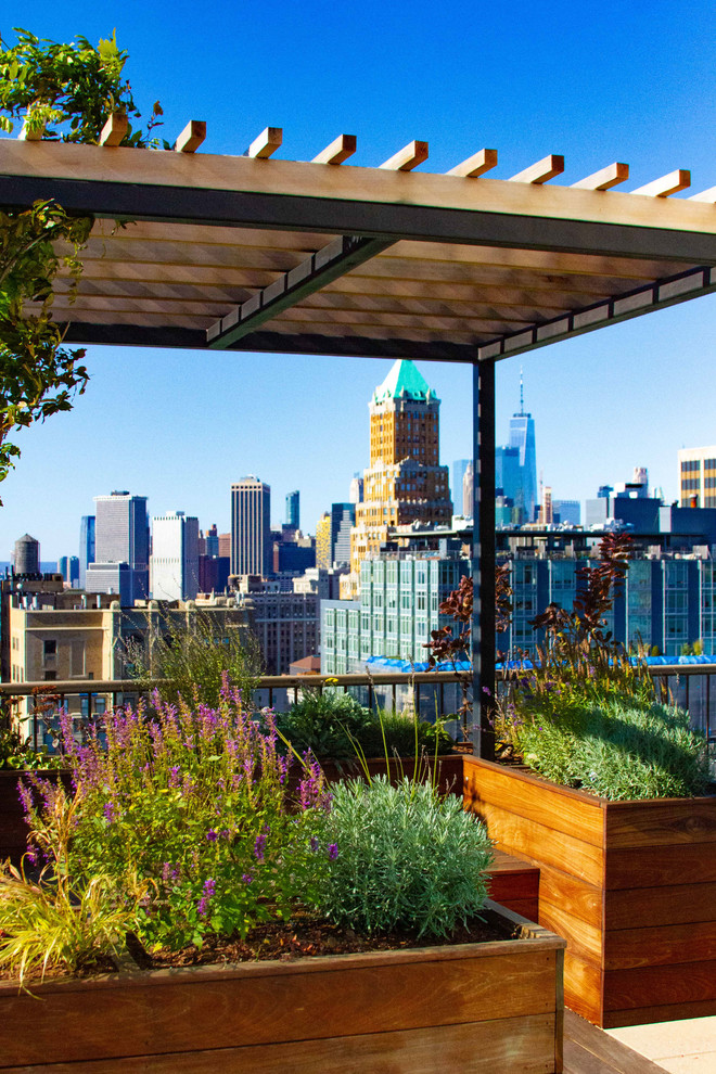 Großer, Halbschattiger Moderner Dachgarten in New York