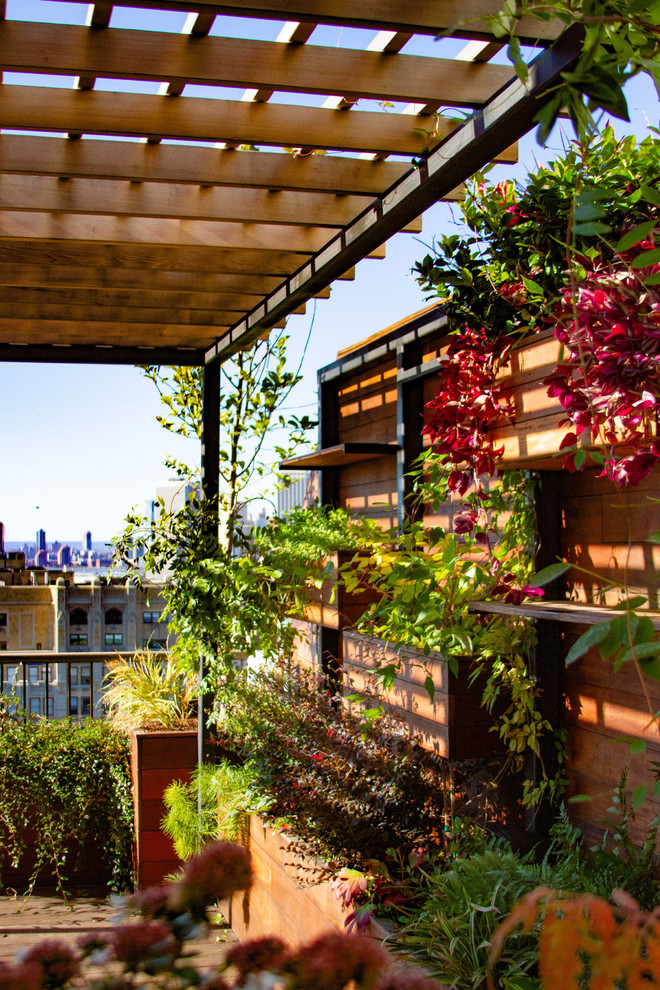Foto de jardín minimalista grande en azotea con exposición parcial al sol