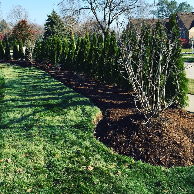 Troy, MI Backyard ReDesign Traditional Garden