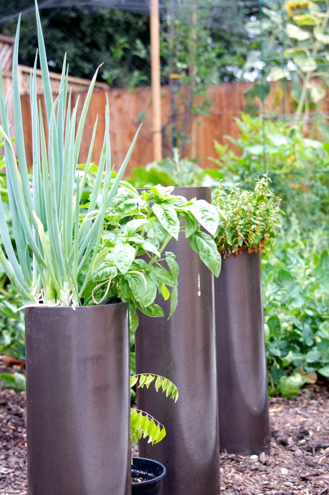 Esempio di un giardino minimal esposto in pieno sole di medie dimensioni e dietro casa con un giardino in vaso e pacciame