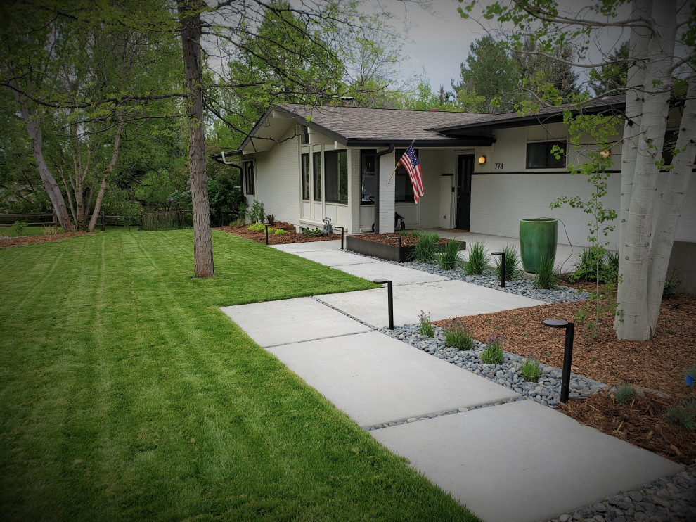 This is an example of a medium sized modern front full sun garden for summer in Denver with a pathway and concrete paving.