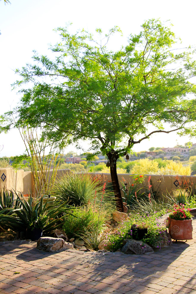 Mittelgroßer, Halbschattiger Mediterraner Garten im Frühling, hinter dem Haus mit Pflastersteinen und Wüstengarten in Phoenix