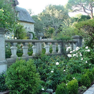 Traditional garden in San Francisco.