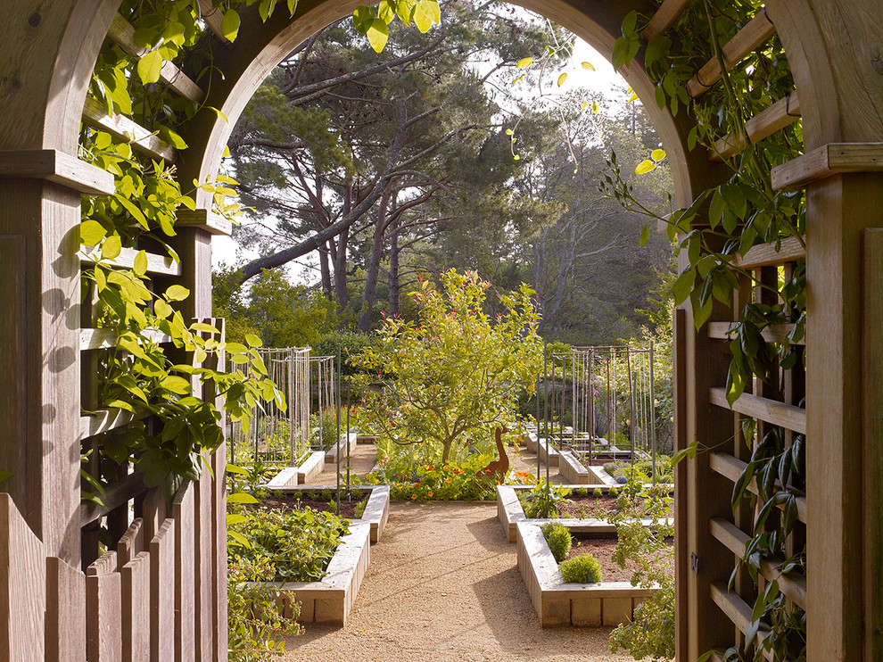 На фото: участок и сад в классическом стиле с растениями в контейнерах с