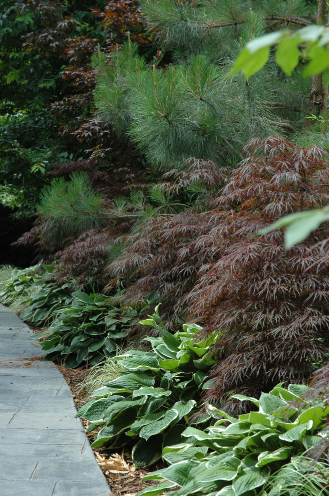 Tulsa Utica Square Estate Traditional Landscape Other by