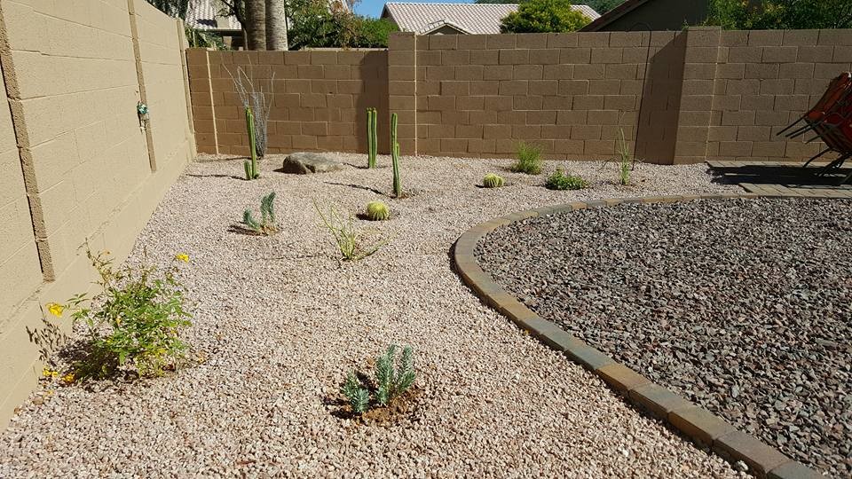 Kleiner Mediterraner Garten hinter dem Haus mit direkter Sonneneinstrahlung in Phoenix