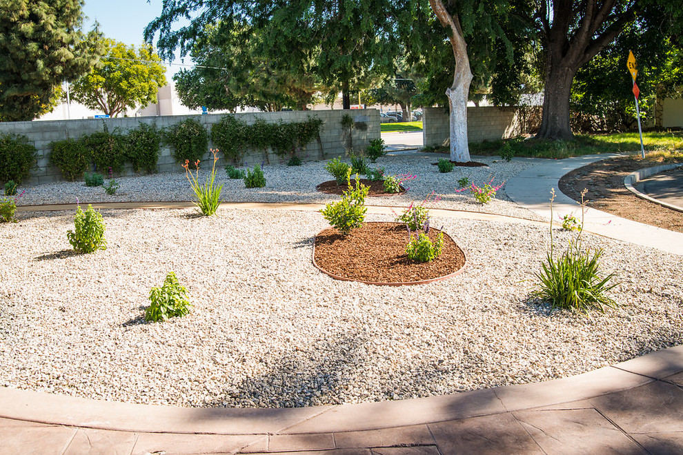 Idee per un giardino xeriscape moderno esposto a mezz'ombra di medie dimensioni e davanti casa in primavera con ghiaia