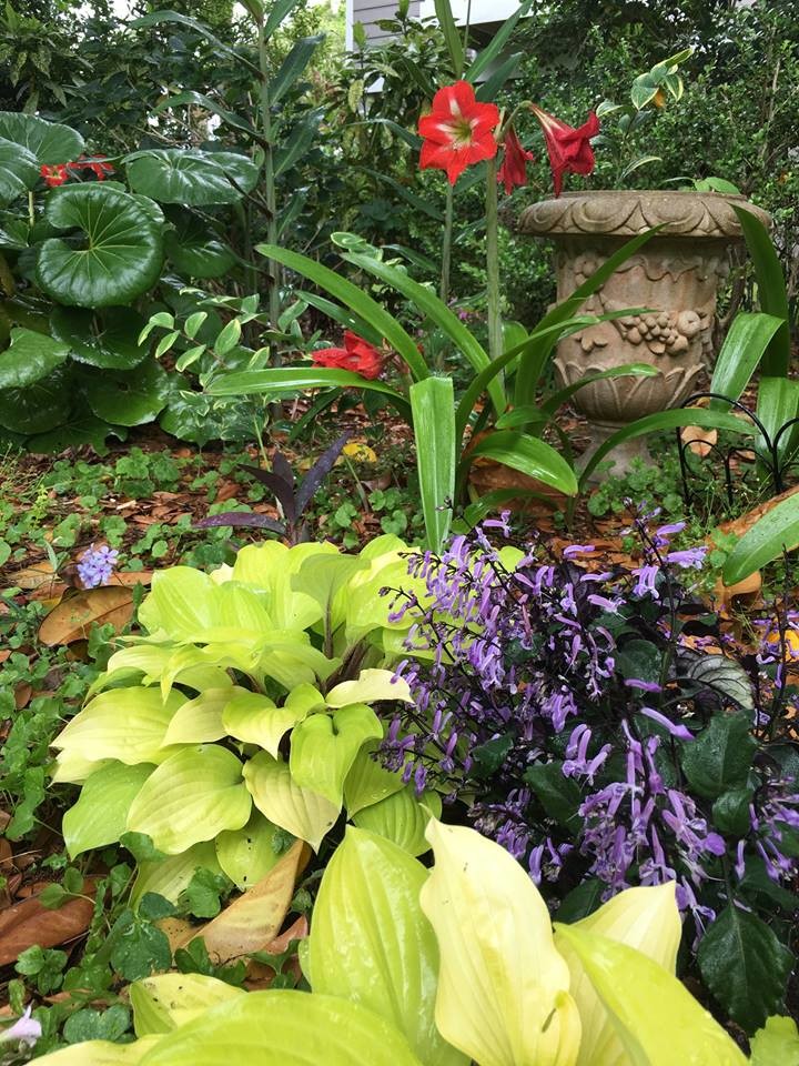 Schattiger Klassischer Garten im Frühling, neben dem Haus in Charleston