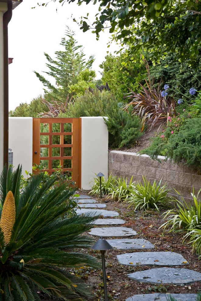 Foto di un giardino tropicale esposto in pieno sole di medie dimensioni e nel cortile laterale con pavimentazioni in pietra naturale