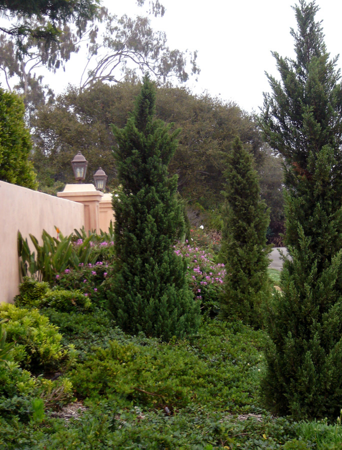 Esempio di un giardino xeriscape mediterraneo esposto in pieno sole di medie dimensioni e sul tetto