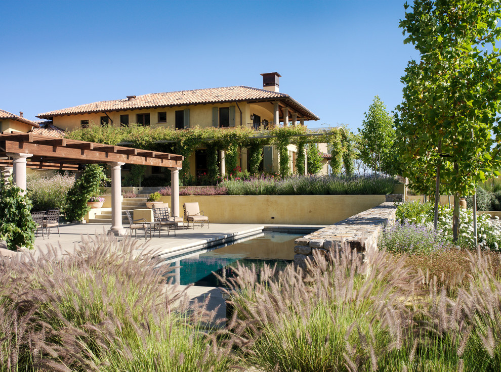 Свежая идея для дизайна: участок и сад на заднем дворе в средиземноморском стиле - отличное фото интерьера