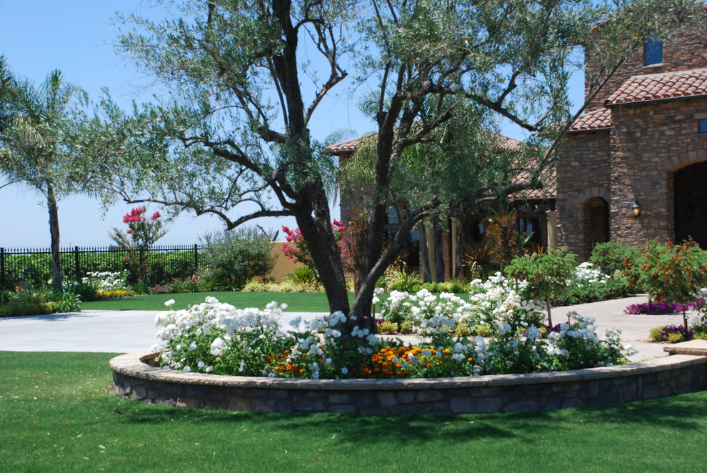 Foto di un ampio giardino mediterraneo esposto in pieno sole dietro casa in primavera con un ingresso o sentiero e pavimentazioni in cemento