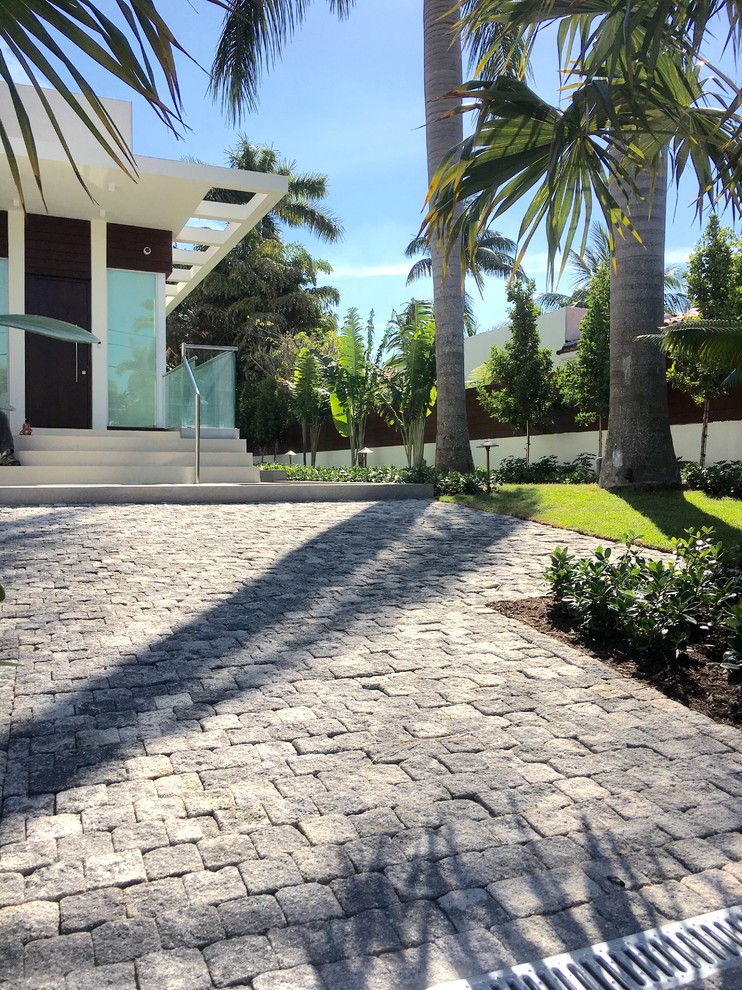 Ispirazione per un vialetto d'ingresso tropicale esposto a mezz'ombra di medie dimensioni e davanti casa con un ingresso o sentiero e pavimentazioni in cemento