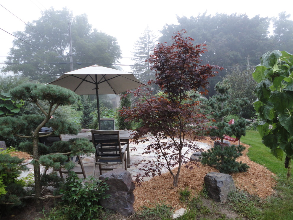 Imagen de jardín tradicional de tamaño medio en patio trasero con exposición total al sol y adoquines de piedra natural