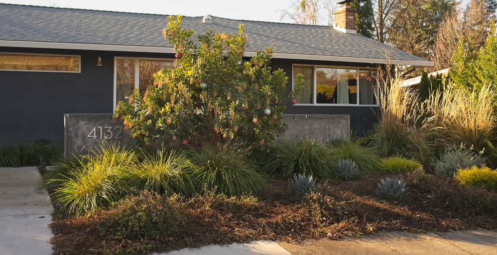 Foto di un giardino xeriscape minimalista esposto a mezz'ombra di medie dimensioni e davanti casa con un ingresso o sentiero