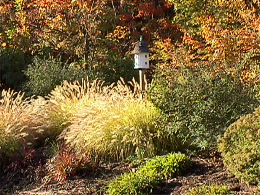 Esempio di un giardino classico esposto in pieno sole di medie dimensioni e dietro casa in autunno con pacciame