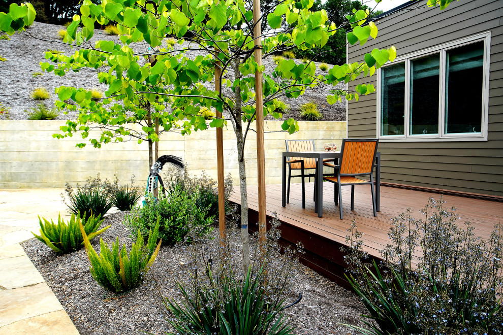 This is an example of a large industrial back xeriscape fully shaded garden in San Francisco with natural stone paving.