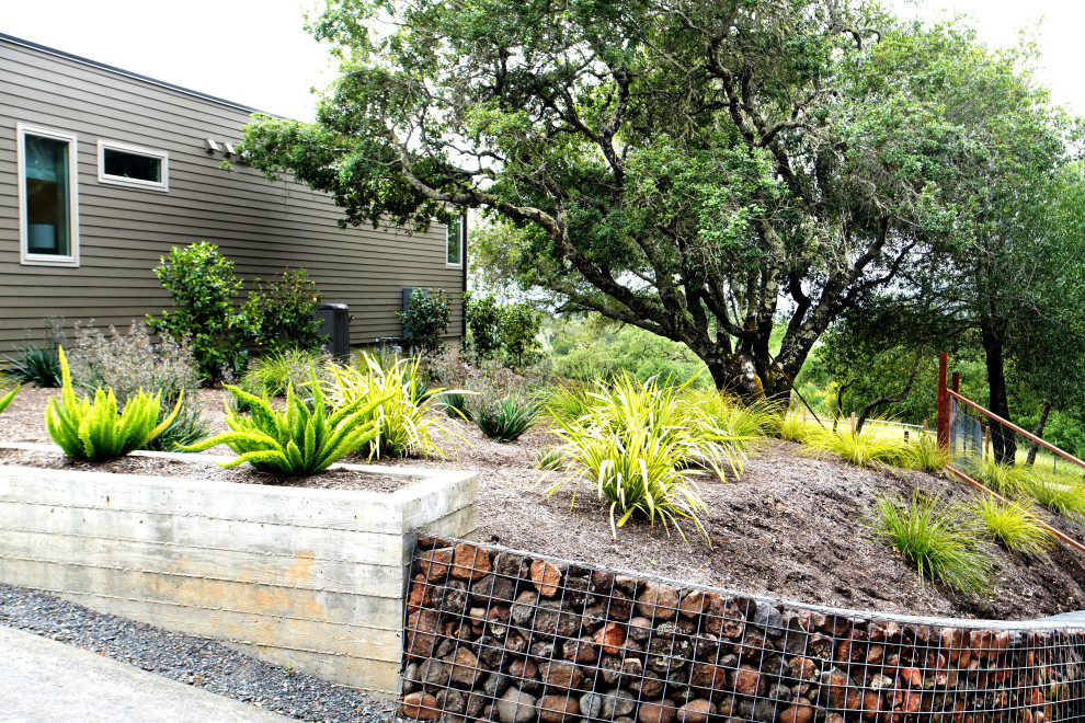 Foto di un grande giardino xeriscape industriale in ombra davanti casa con un muro di contenimento e pavimentazioni in pietra naturale