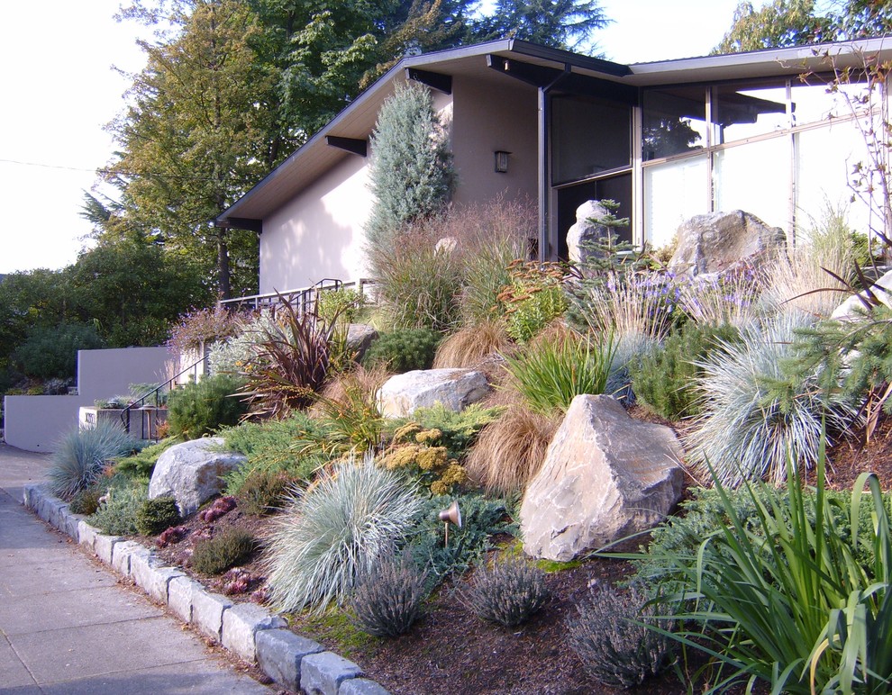 This is an example of an eclectic landscaping in Portland.