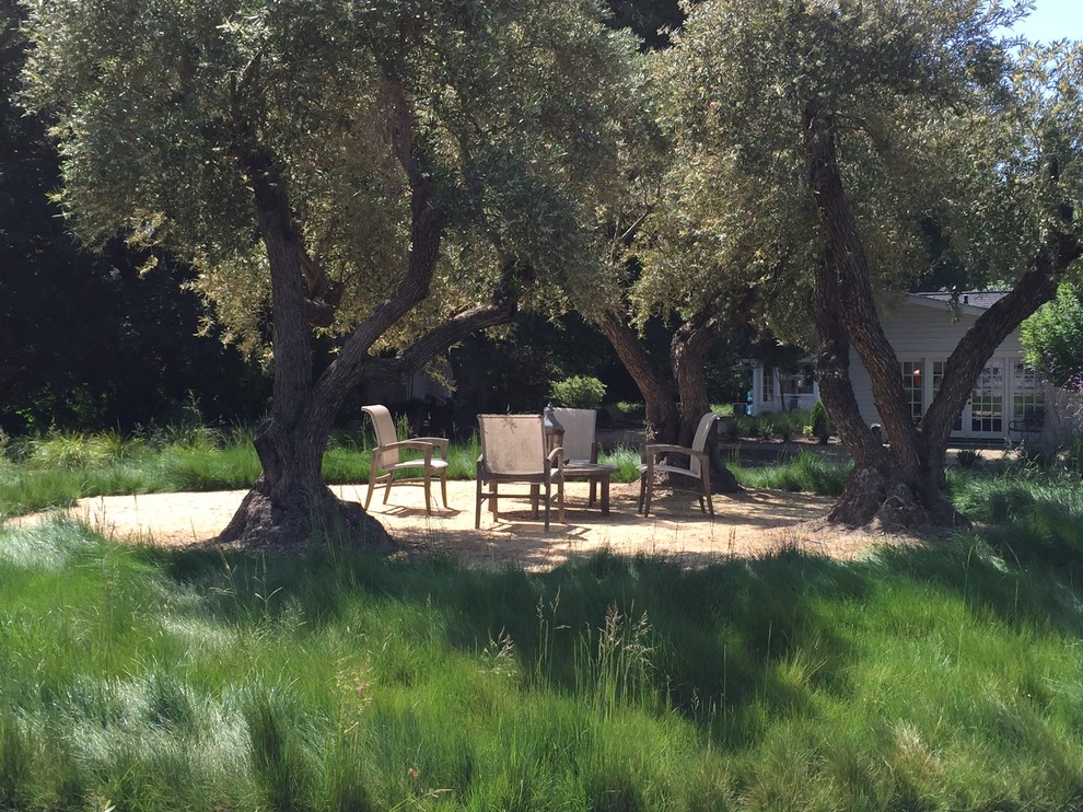 Under the Trees Transitional Landscape San Francisco by Garden