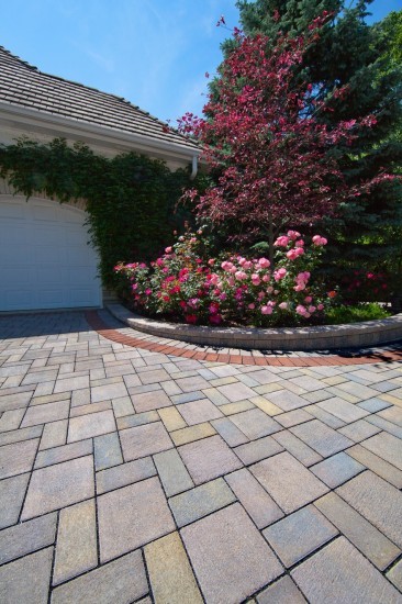 Inspiration for a contemporary front driveway garden in Other with concrete paving.