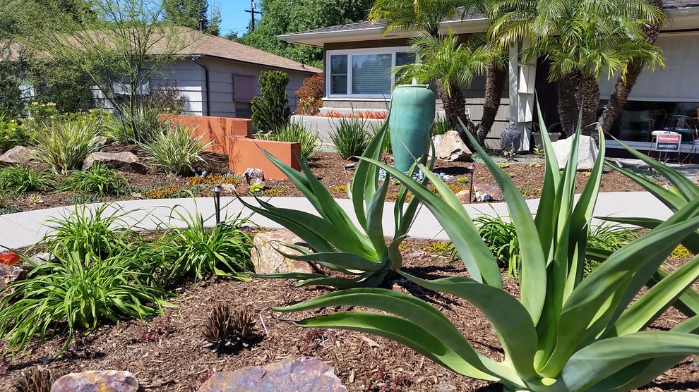 Design ideas for a mid-sized southwestern drought-tolerant and full sun front yard concrete paver landscaping in San Diego.
