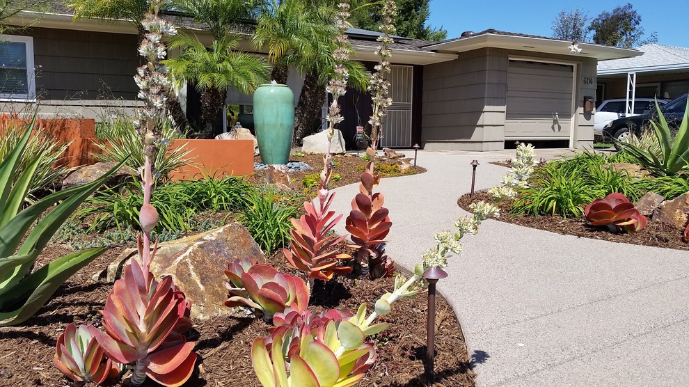 Modelo de jardín de secano de estilo americano de tamaño medio en patio delantero con exposición total al sol y adoquines de hormigón