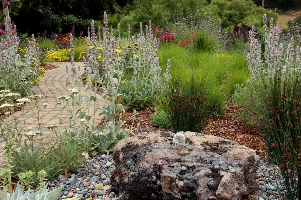 Geometrischer, Mittelgroßer, Halbschattiger Mediterraner Garten hinter dem Haus mit Wasserspiel und Pflastersteinen in San Luis Obispo