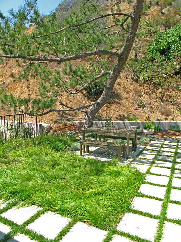 Inspiration för en mellanstor funkis trädgård i full sol, med en trädgårdsgång och marksten i betong