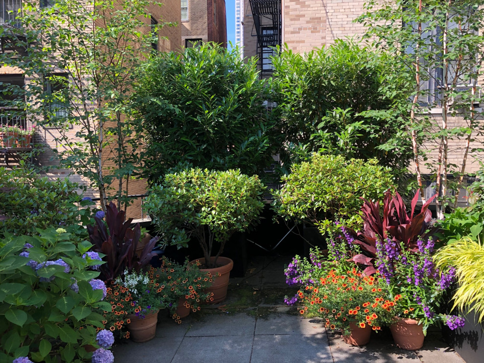 Источник вдохновения для домашнего уюта: маленький участок и сад на крыше в стиле фьюжн с растениями в контейнерах и полуденной тенью для на участке и в саду