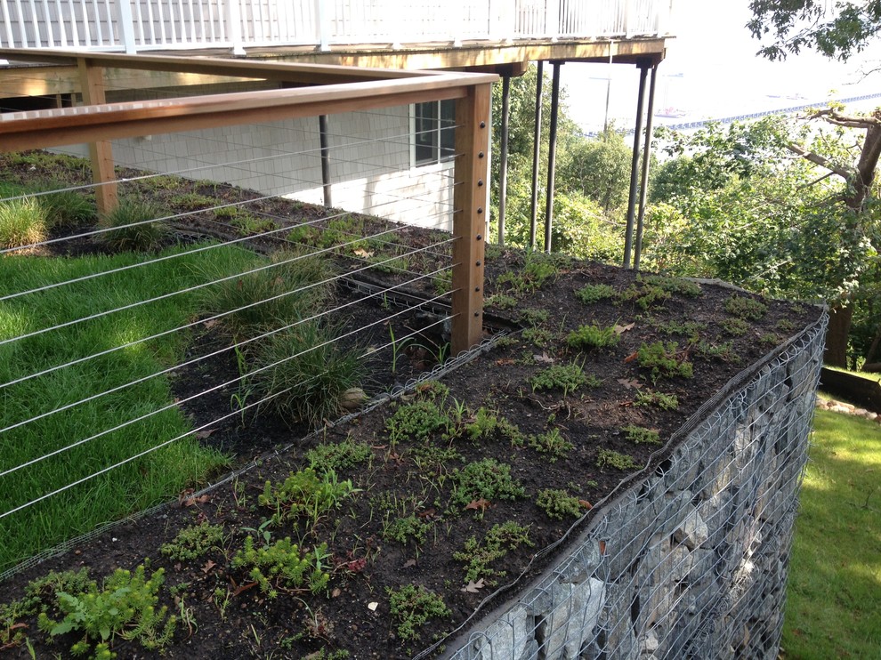 Idéer för att renovera en mellanstor funkis trädgård i skuggan i slänt, med en stödmur