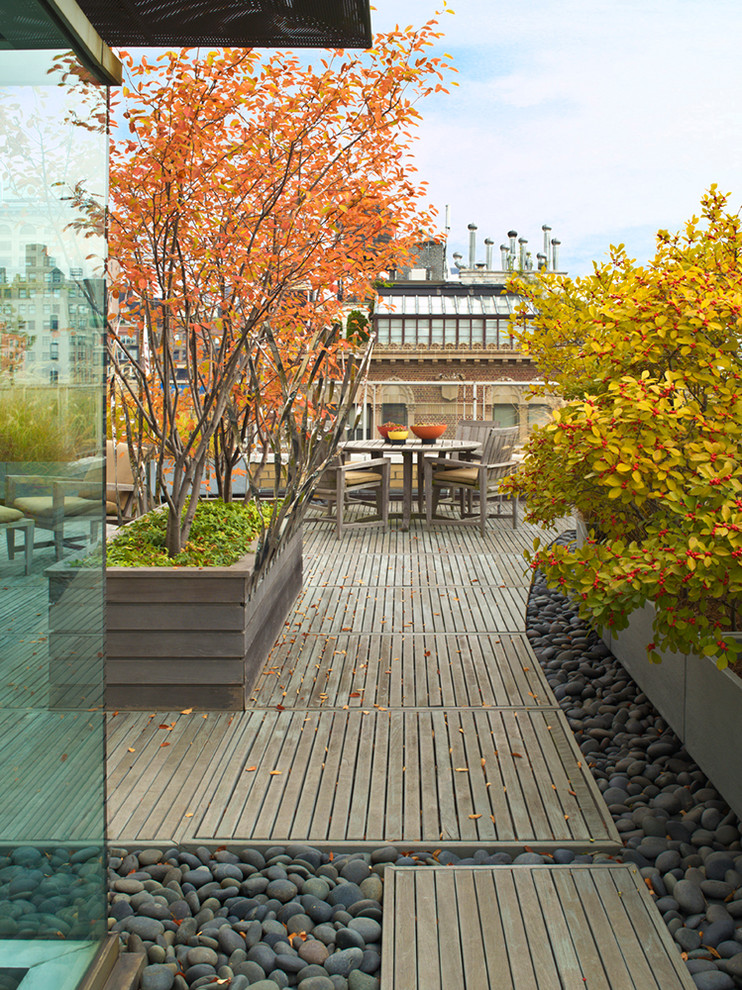 Стильный дизайн: участок и сад среднего размера на крыше в стиле модернизм с полуденной тенью, настилом и растениями в контейнерах - последний тренд