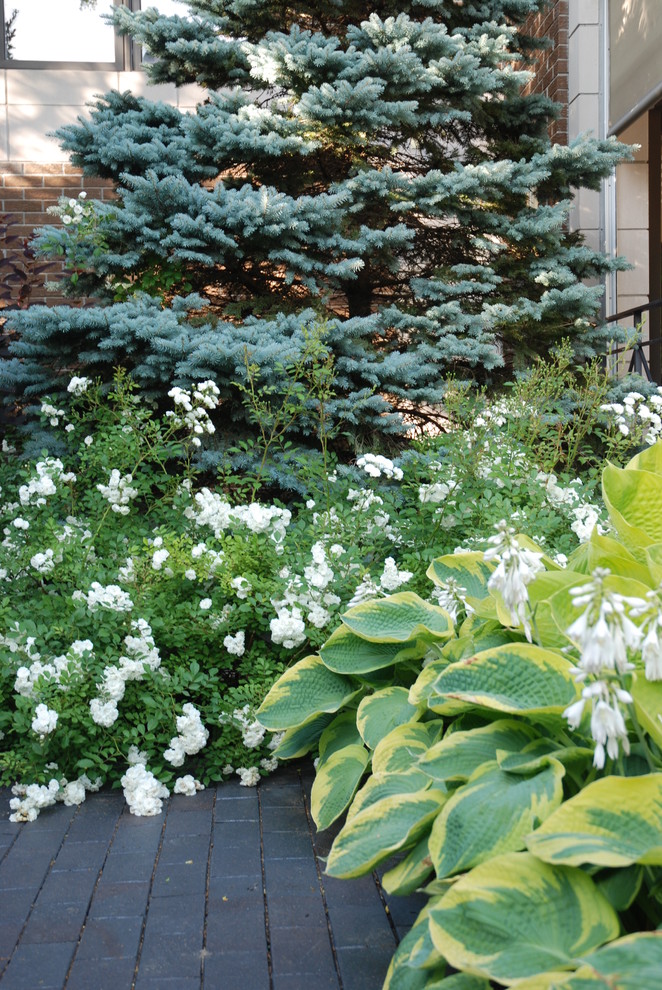 Cette photo montre un jardin tendance de taille moyenne avec une exposition partiellement ombragée et des pavés en pierre naturelle.