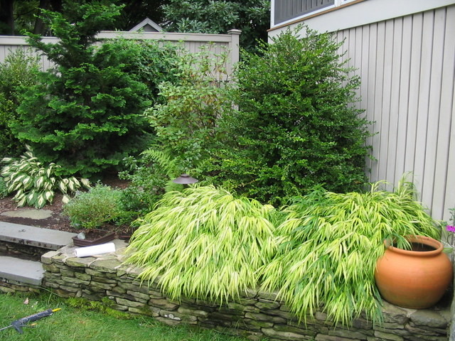 Design ideas for a transitional landscaping in Boston.
