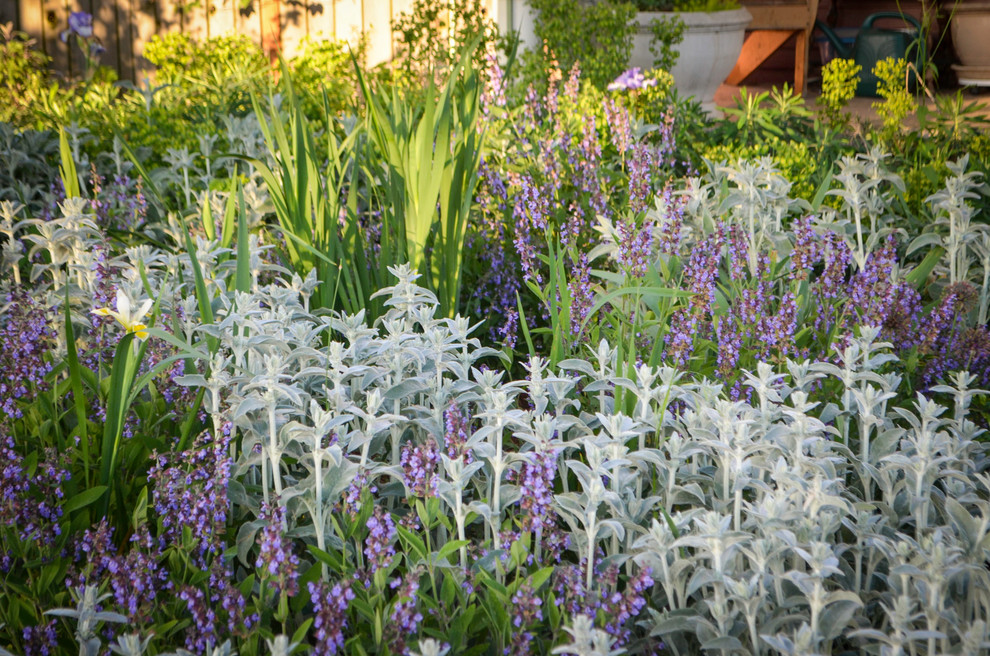 Idée de décoration pour un jardin avant champêtre de taille moyenne avec une exposition ensoleillée.