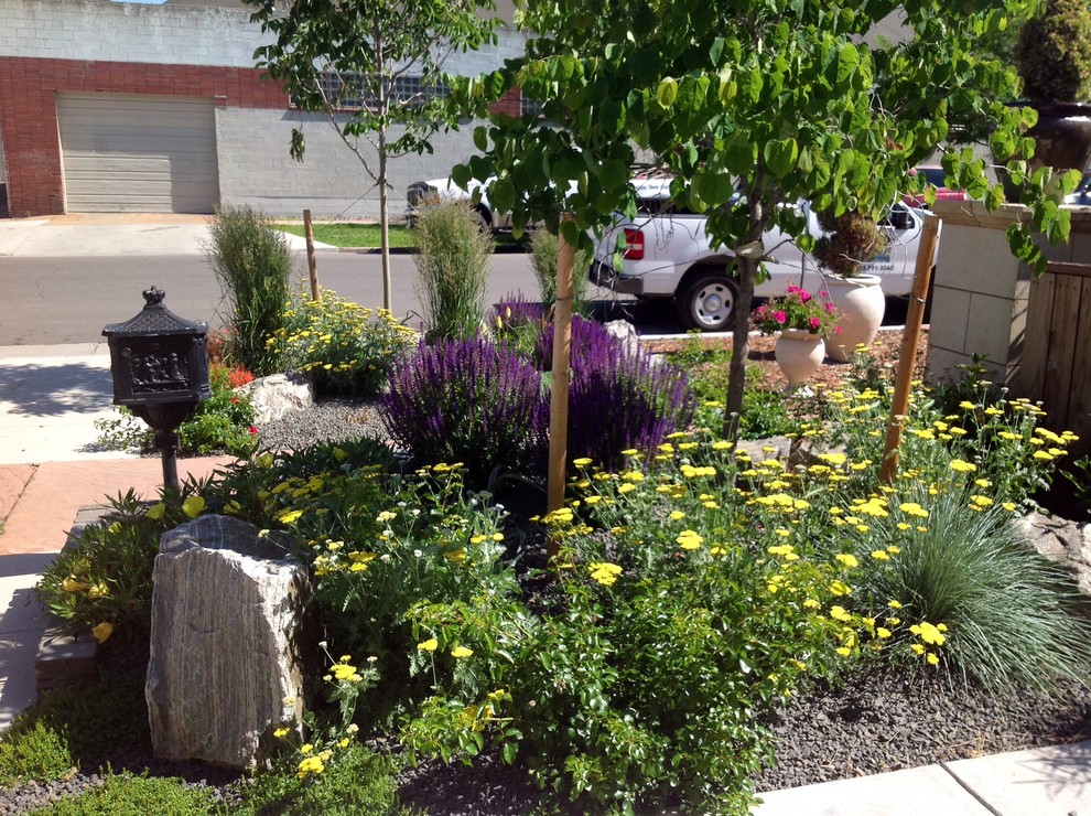 Immagine di un piccolo giardino xeriscape american style davanti casa con graniglia di granito