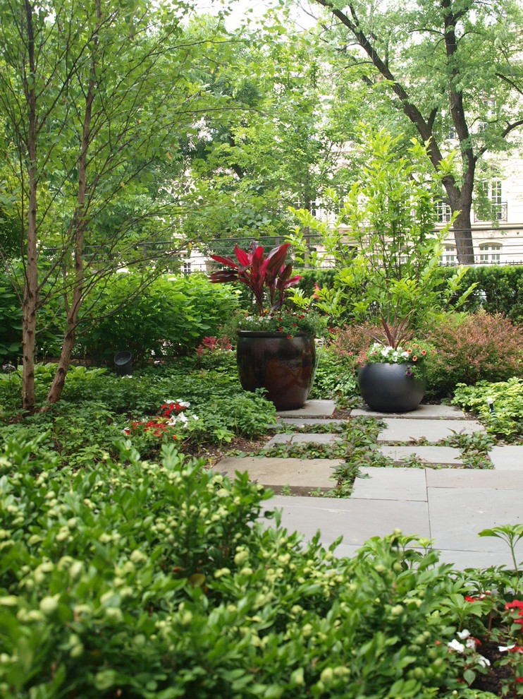 Пример оригинального дизайна: маленький летний участок и сад на переднем дворе в современном стиле с садовой дорожкой или калиткой, полуденной тенью и покрытием из каменной брусчатки для на участке и в саду