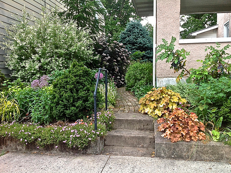 フィラデルフィアにあるお手頃価格の小さな、夏のコンテンポラリースタイルのおしゃれな庭 (ゼリスケープ、半日向、レンガ敷き) の写真