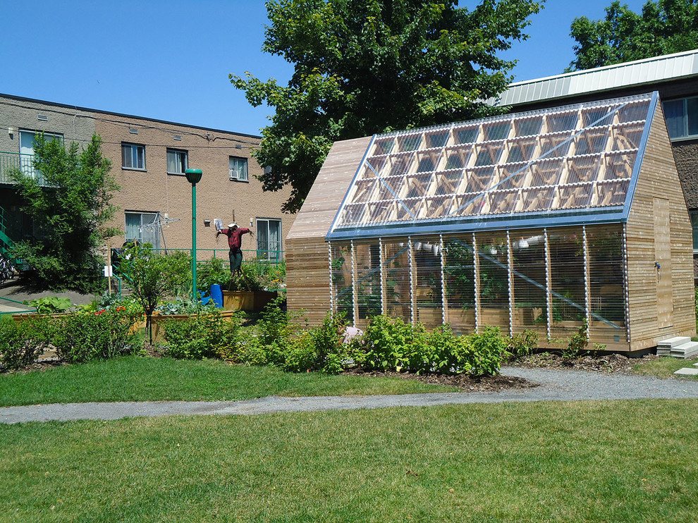 Idee per un piccolo orto in giardino design esposto in pieno sole in cortile con ghiaia