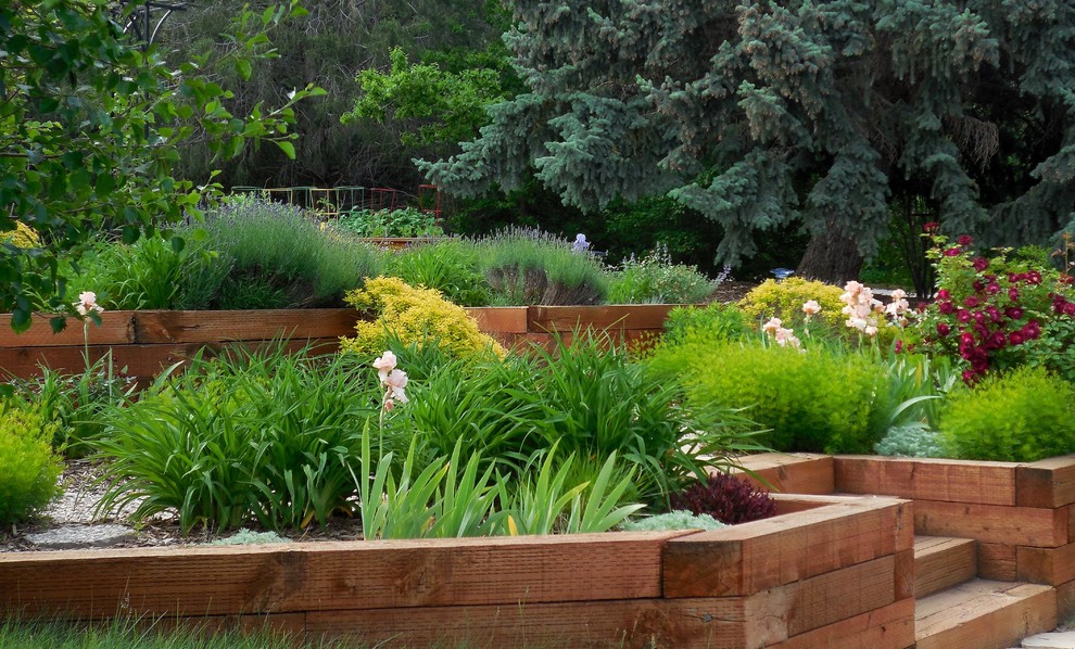 Стильный дизайн: солнечный засухоустойчивый сад среднего размера на переднем дворе в классическом стиле с хорошей освещенностью, покрытием из каменной брусчатки и подпорной стенкой - последний тренд