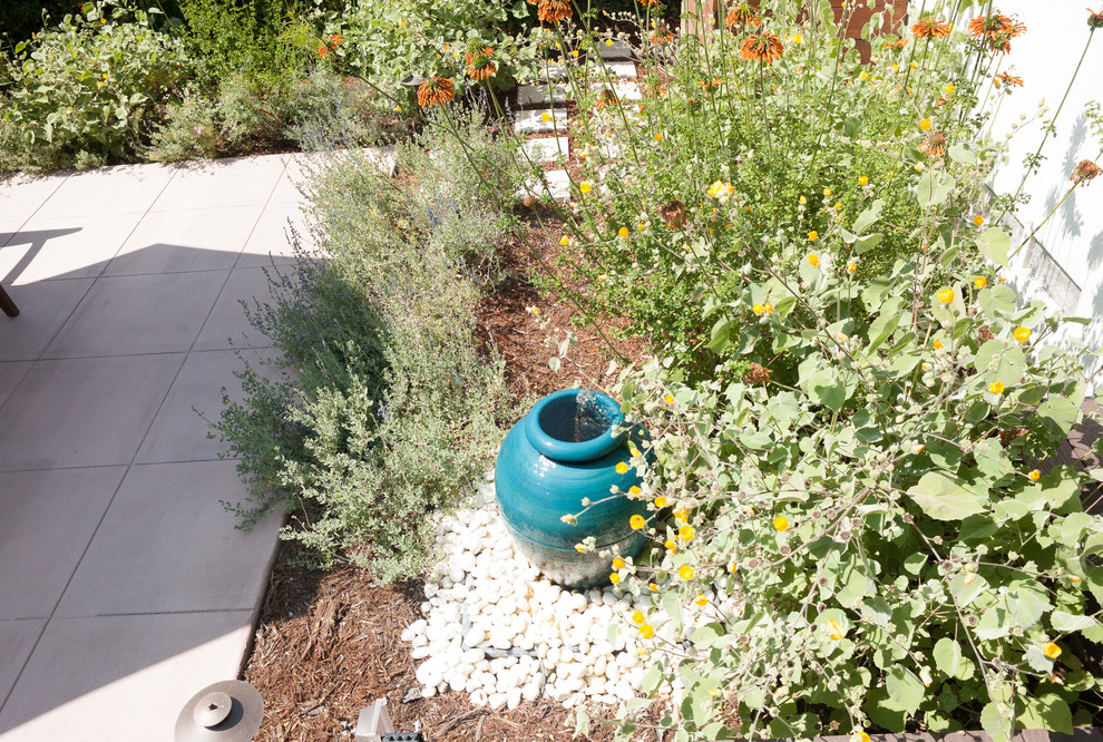 Design ideas for a modern landscaping in Los Angeles.