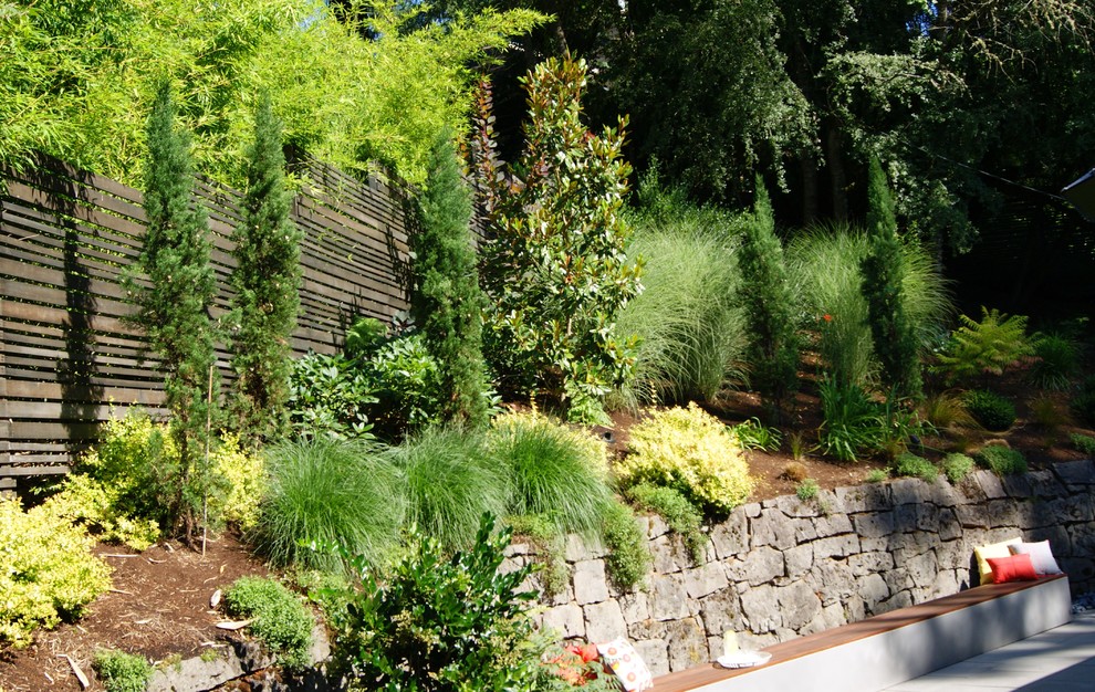 Immagine di un piccolo giardino contemporaneo esposto a mezz'ombra dietro casa con un muro di contenimento