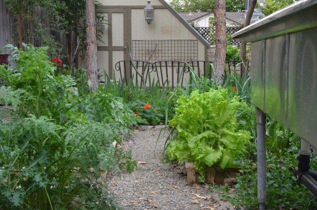 Design ideas for a bohemian garden in Los Angeles.