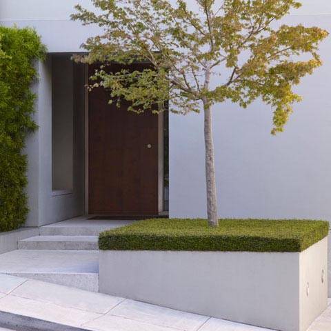 Inspiration for a modern landscaping in San Francisco.