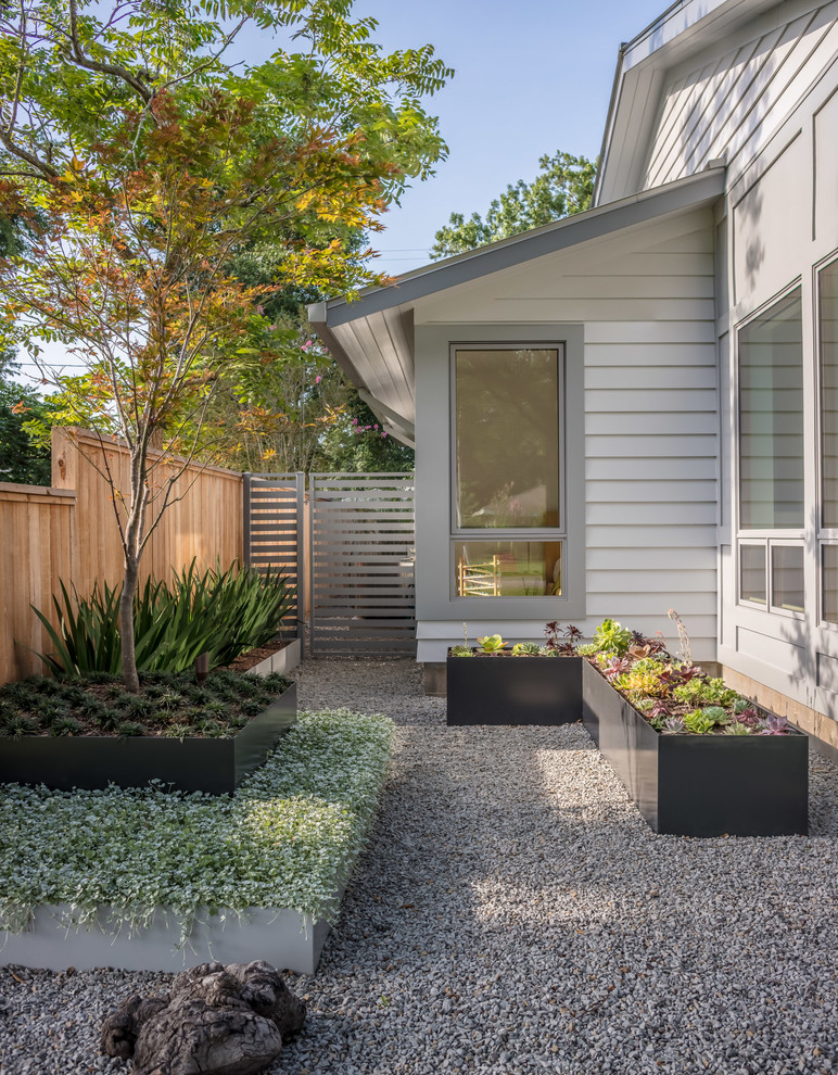 Imagen de jardín de secano minimalista de tamaño medio en primavera en patio delantero con jardín de macetas, exposición total al sol y adoquines de hormigón