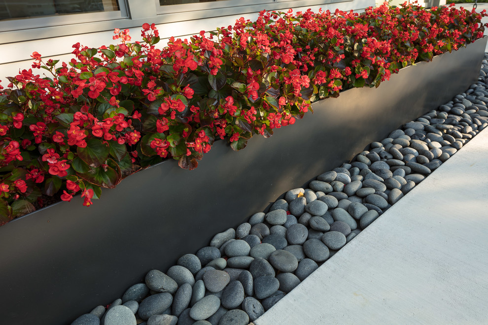 Idee per un giardino xeriscape moderno esposto in pieno sole di medie dimensioni e davanti casa in primavera con un giardino in vaso e pavimentazioni in cemento