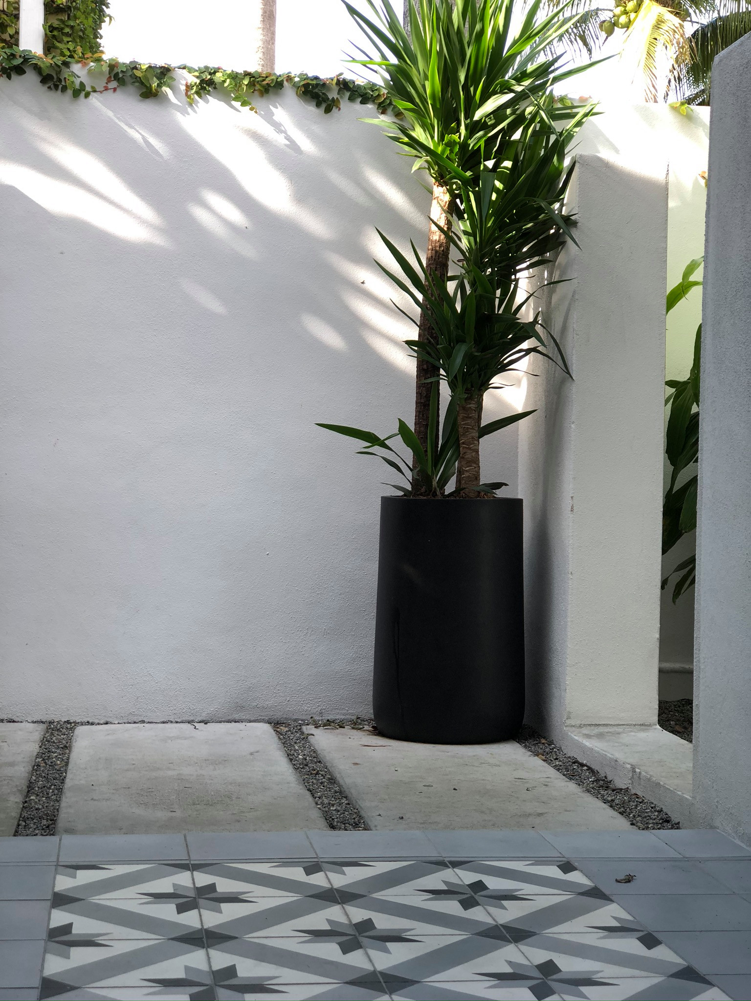 springhetti custom outdoor living on 75 Beautiful White Privacy Landscaping Pictures Ideas March 2021 Houzz